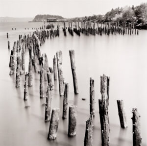Steve Nieslony - Ghost Piling