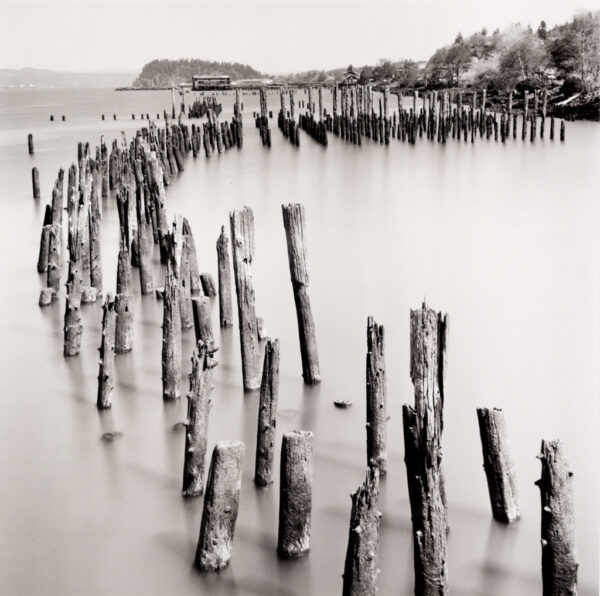 Steve Nieslony - Ghost Piling