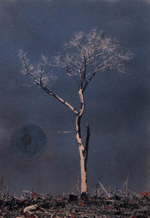 Debra Small - Sunset, Smoke and Embers