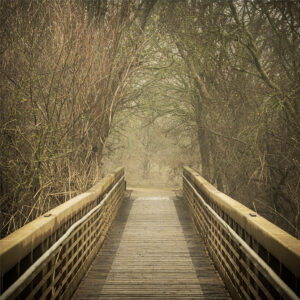 Footbridge, Cosumnes River Preserve