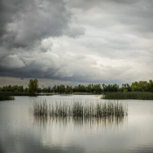Pond, Tules, Storm Clouds, Yolo Bypass Wildlife Area