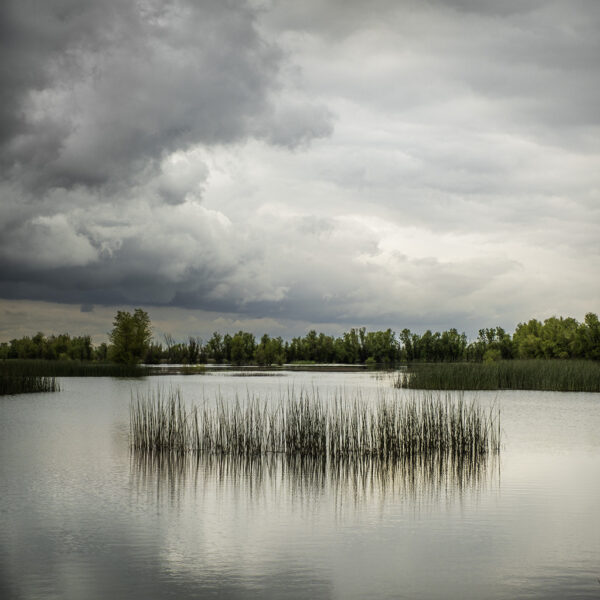 Pond, Tules, Storm Clouds, Yolo Bypass Wildlife Area