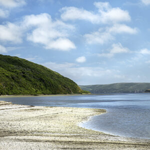 Oyster Shell Beach, Point Reyes
