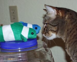 Stare Down