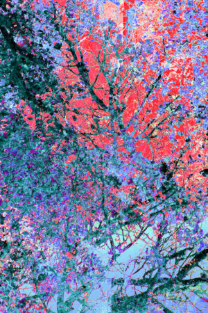 The Eleventh Month with Color