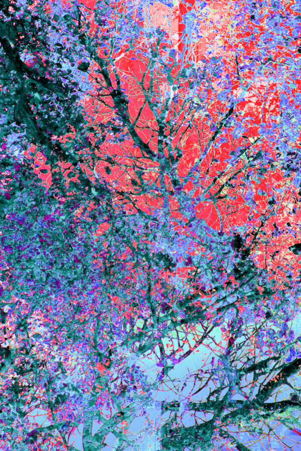 The Eleventh Month with Color