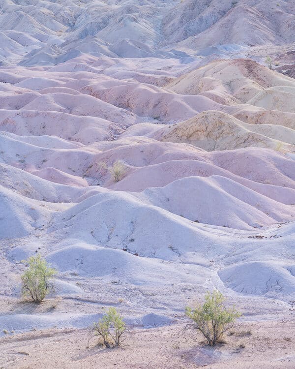Afternoon in the badlands