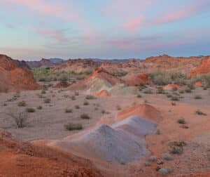 Desert dusk