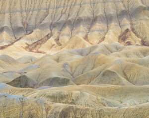 Mud hills