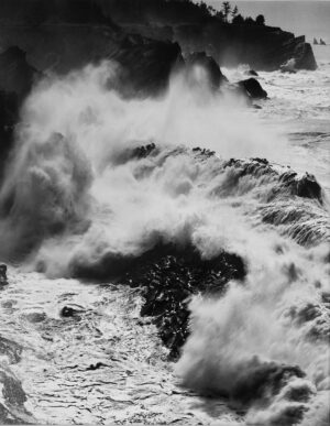 Charles Farmer - Surf-Shore Acres
