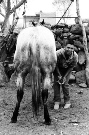 El y El Caballo
