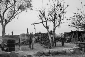En El Rancho