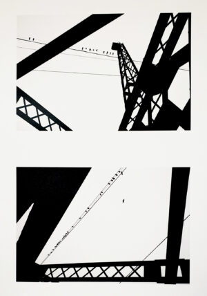 Gordon Reynolds - Pigeons of the I Street Bridge