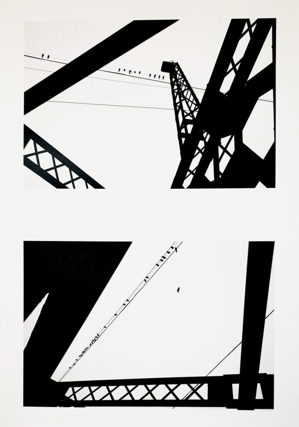 Gordon Reynolds - Pigeons of the I Street Bridge
