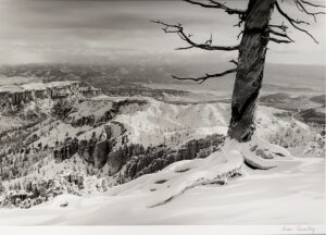 Joan Gentry - Bryce Overlook