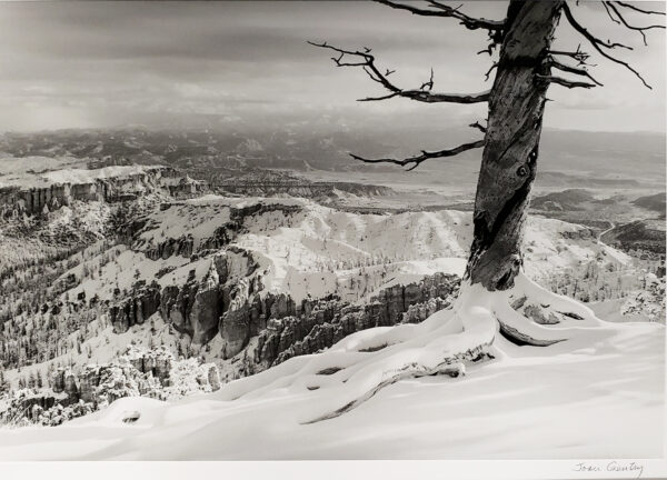 Joan Gentry - Bryce Overlook