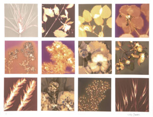 Judy Yemma - Patchwork Lumens