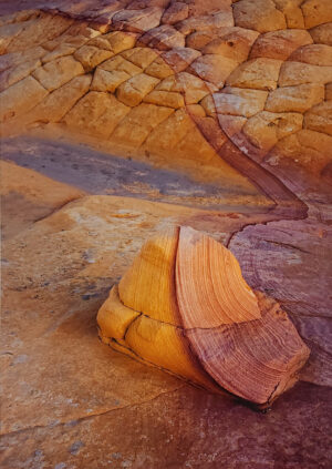 Larry Brenden - Wandering Heart, 2/40