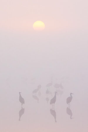 Jan Lightfoot - Morning Has Broken     1/5