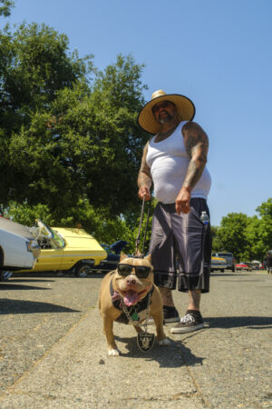 Raiders Dog
