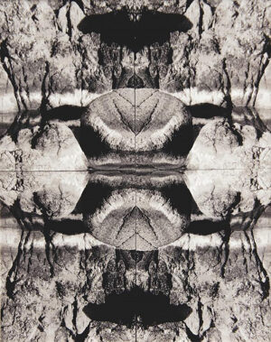 Richard Newman - Kaleidoscope #4