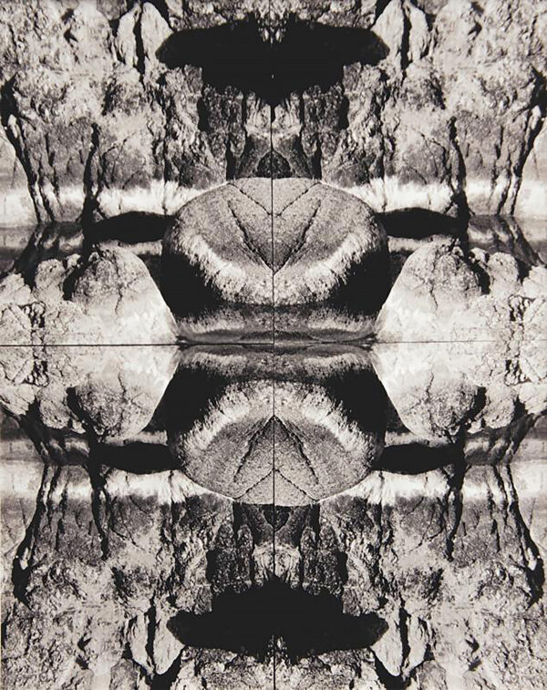 Richard Newman - Kaleidoscope #4