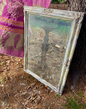 Michelle Floyd - Mirror in a Yard