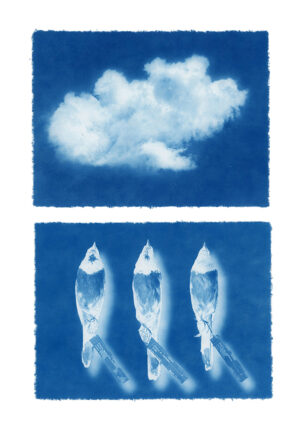 Dale Green - Reflecting of the Extinction of Species