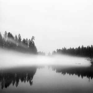 Chipper Hatter - A Disappearing Divide