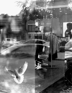 Gary Kuroki - The Gap