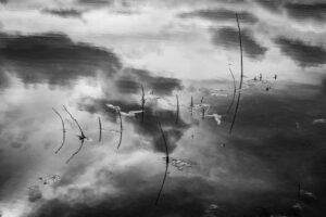 David Nasater - Convergence