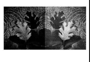 Robert Arnold - Mirror Floating Shadow Leaf