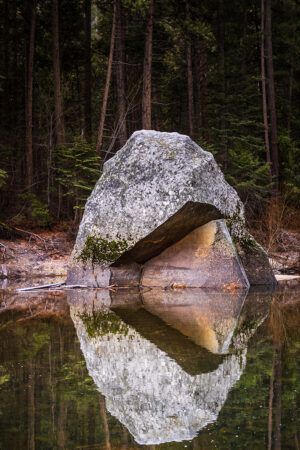 Bridgette Pilling - PacMan Rock