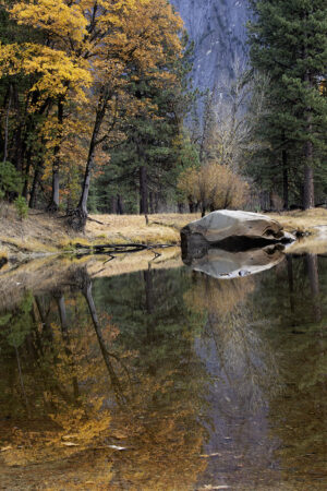 Victoria Ruderman - Yosemite In the Fall