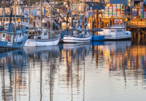 Susan Scholey - Newport Harbor