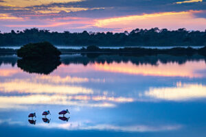 Kathleen Sewell - Day is Done