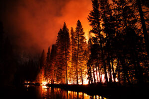 Mark Snaer - Yellowstone on fire