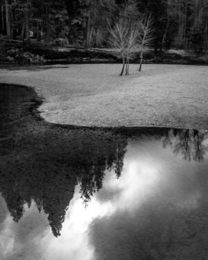 Hal Starratt - Merced