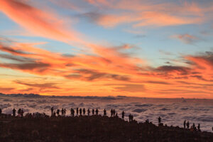 John Stumbos - Pilgrims on Maui