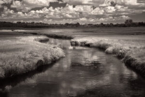 Catherine Wilcox-Titus - Homesick for Another World