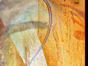 The Seeds of Thoughtfulness
