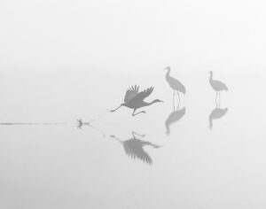 Hana Yokoyama-Hatch - A Flying Start