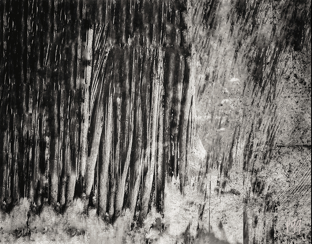 #4.  Loom & BarkHorizontal, 24” x 18” #4.  Loom & Bark
Horizontal, 24” x 18”