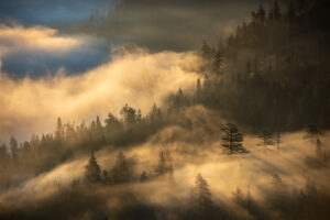 Foggy Sunrise, Donner Lake