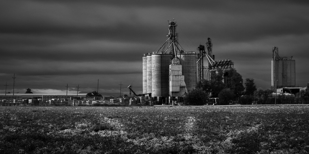 jankowski_mill-at-dawn