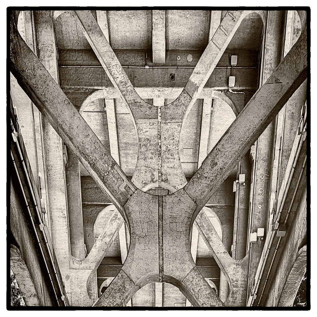 Minshew_Under-the-Bridge