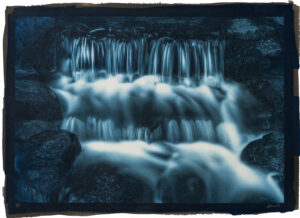 Fern Spring, Yosemite