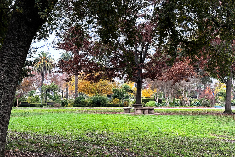 Rose Garden Sacramento (1024)2