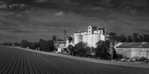 Rice Cooperative, Past