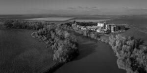Sacramento River Bend